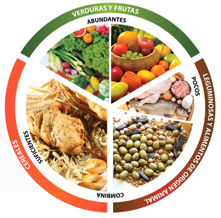 Plato del buen comer: Información de qué es y para qué sirve