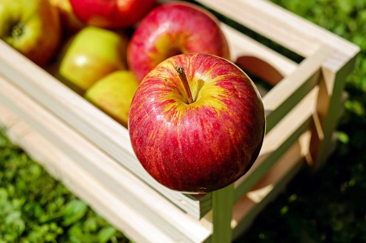 Propiedades, beneficios y todo sobre las manzanas
