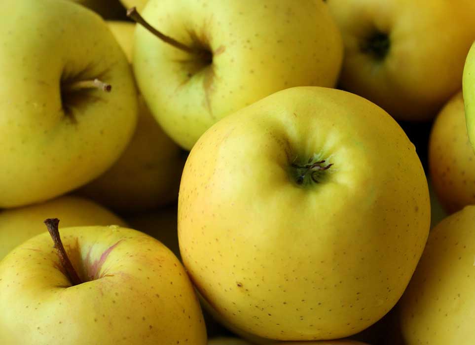 Manzanas Golden Delicius